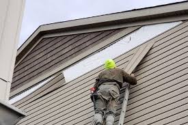 Best Siding Painting and Refinishing  in Cerritos, CA